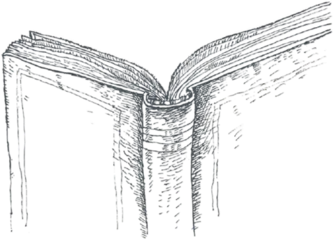 Author Leigh Seippel: Stories Cast Across Time